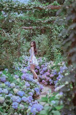 苍老师在线观看免费播放电视剧